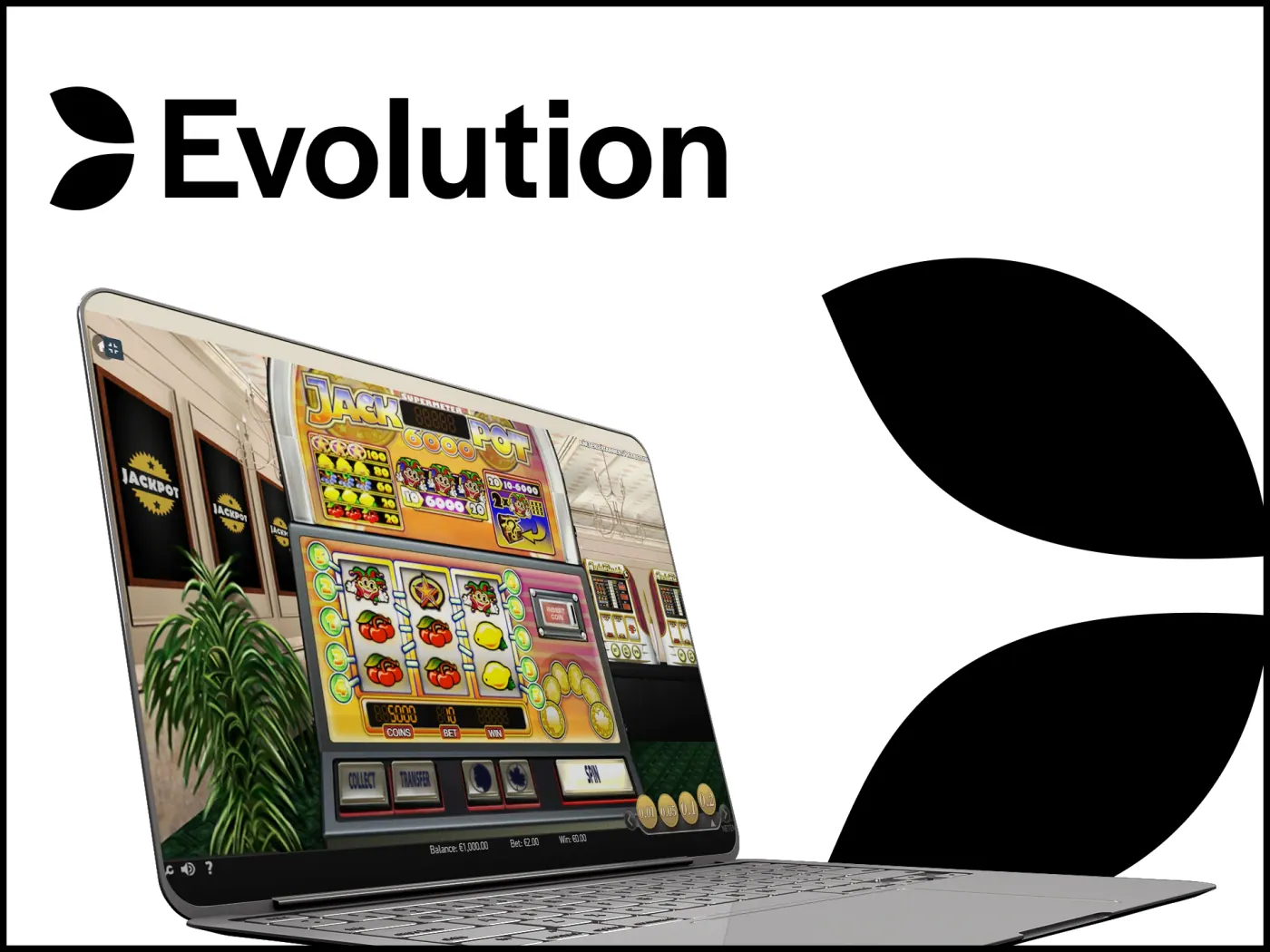 You can play slots from Evolution group studios.