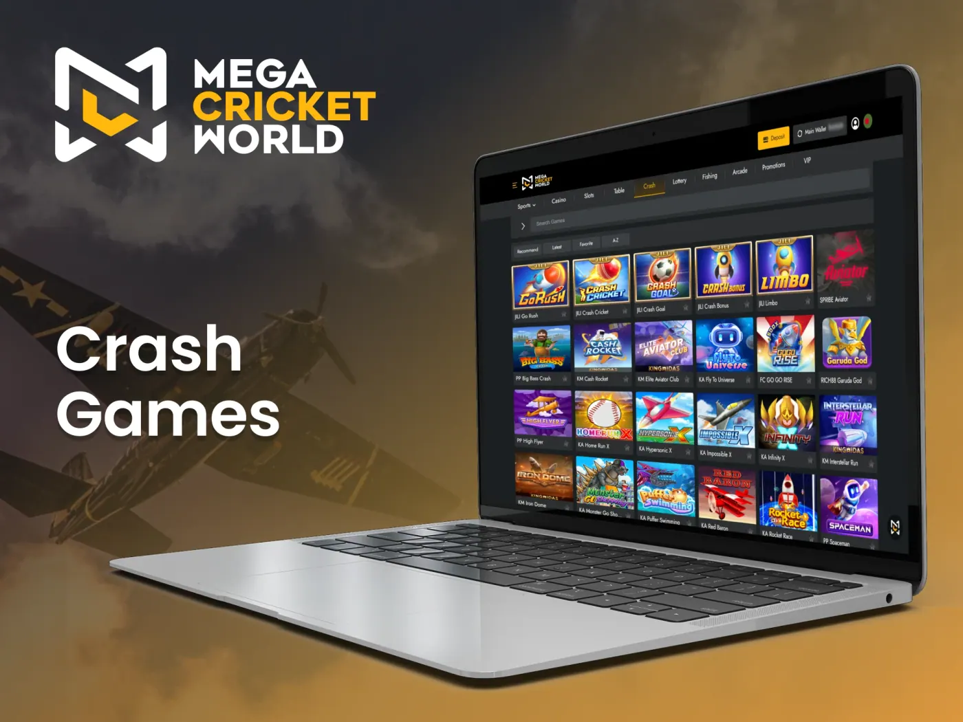Take a shot at crash games at Mega Cricket World online casino.