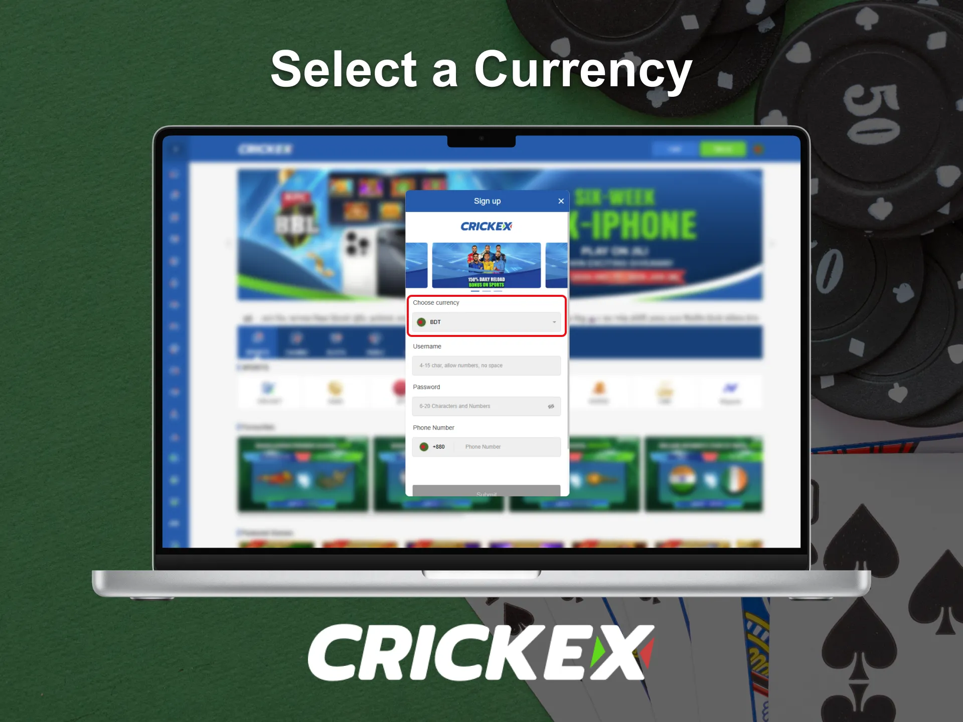 Choose a currency to register with Crickex.