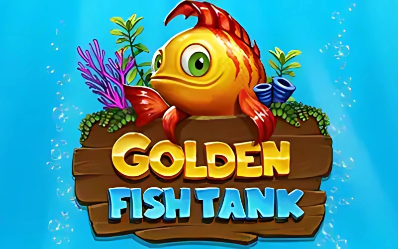 Go on an exciting adventure with Golden Fish Tank on Jeetwin and have fun.