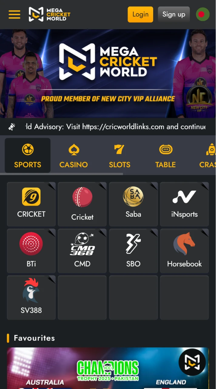 The homepage of Mega Cricket World offers a good user experience.