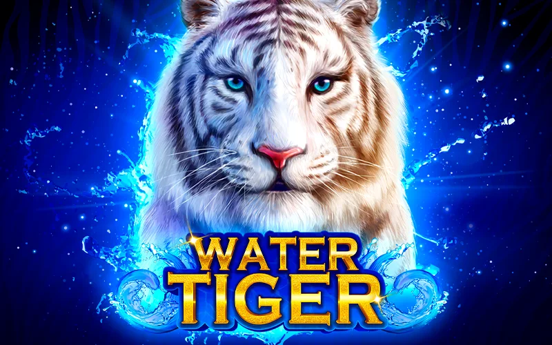 Water Tiger at Betadyou dive into thrilling adventures.