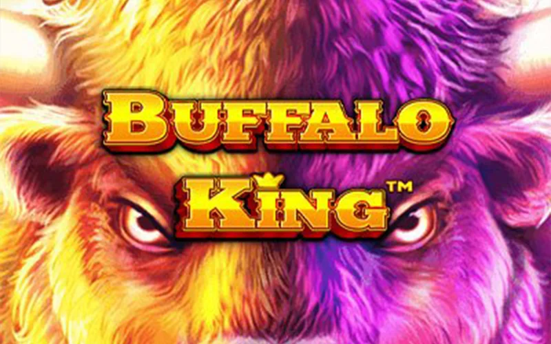 ElonBet Buffalo King leads you to wild wins on the endless prairie.