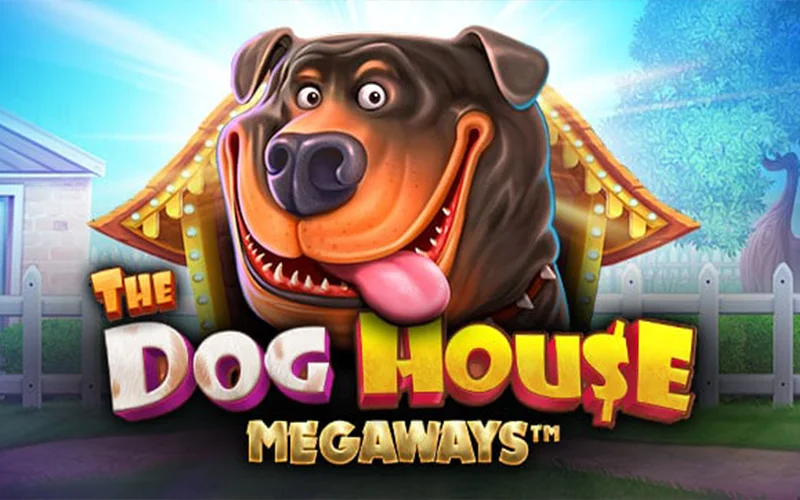 The Dog House Megaways at ICCWin fetch incredible rewards.