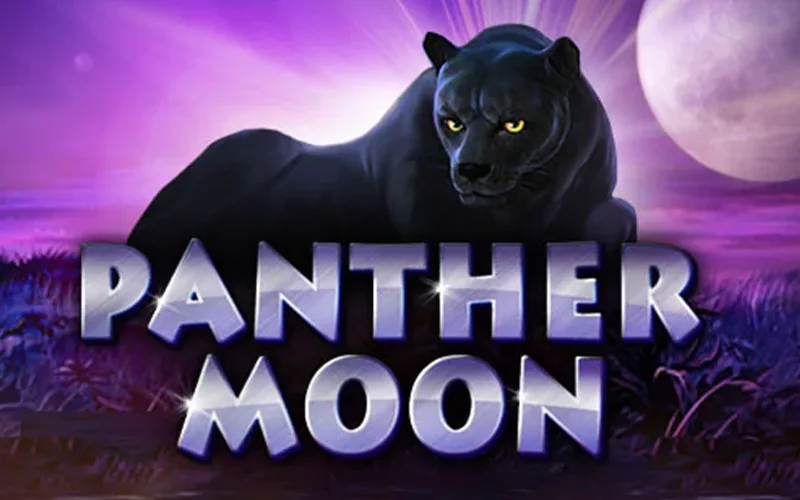 Panther Moon at Sbobet chase big wins under the moonlight.