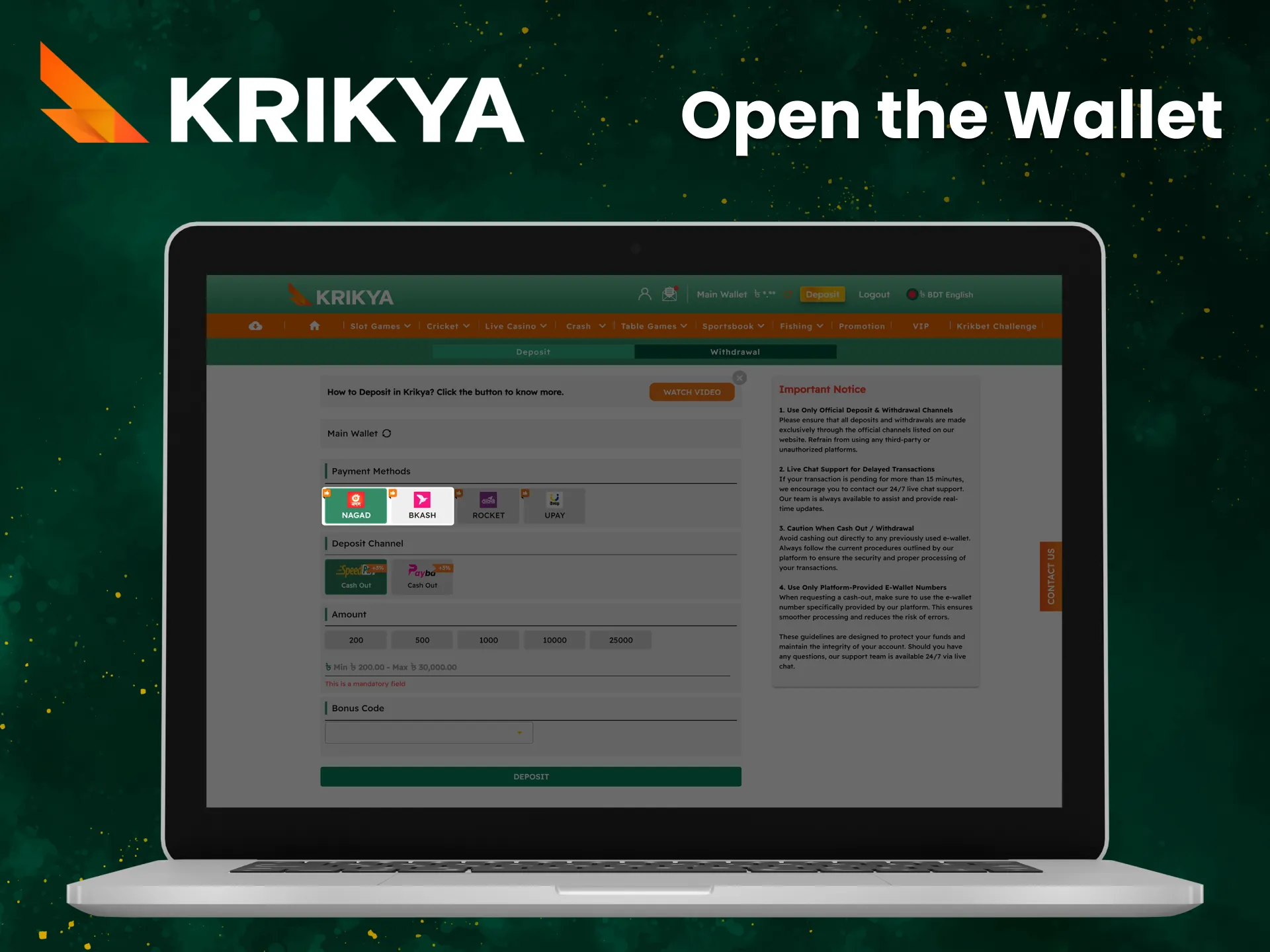 Open the Krikya account deposit section.