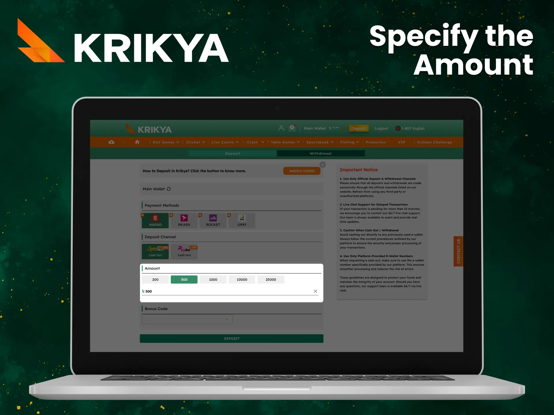 Specify the amount you would like to deposit into your Krikya account.